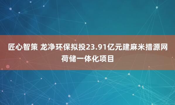 匠心智策 龙净环保拟投23.91亿元建麻米措源网荷储一体化项目