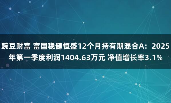 豌豆财富 富国稳健恒盛12个月持有期混合A：2025年第一季度利润1404.63万元 净值增长率3.1%