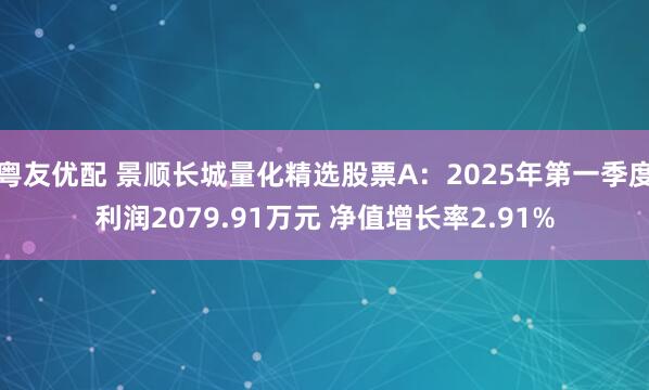 粤友优配 景顺长城量化精选股票A：2025年第一季度利润2079.91万元 净值增长率2.91%