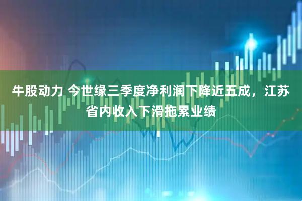 牛股动力 今世缘三季度净利润下降近五成，江苏省内收入下滑拖累业绩