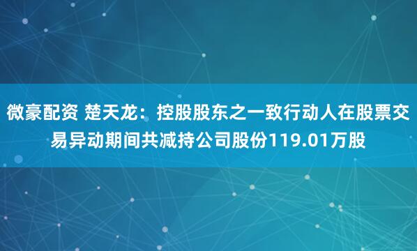 微豪配资 楚天龙：控股股东之一致行动人在股票交易异动期间共减持公司股份119.01万股
