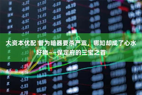 大资本优配 曾为暗器要杀严嵩，哪知却成了心水好物——保定府的三宝之首