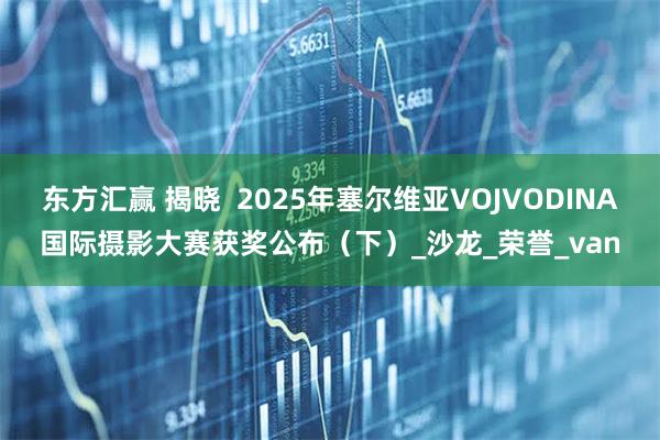 东方汇赢 揭晓  2025年塞尔维亚VOJVODINA国际摄影大赛获奖公布（下）_沙龙_荣誉_van